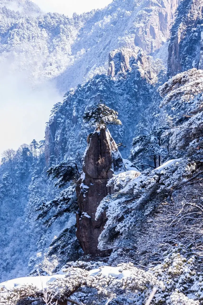 一下雪，张家界就美成了阿凡达