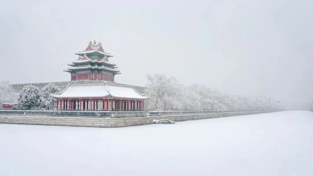 一下雪，张家界就美成了阿凡达