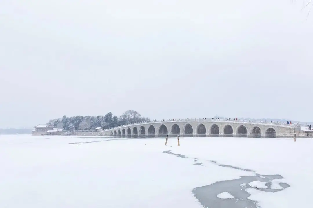 一下雪，张家界就美成了阿凡达