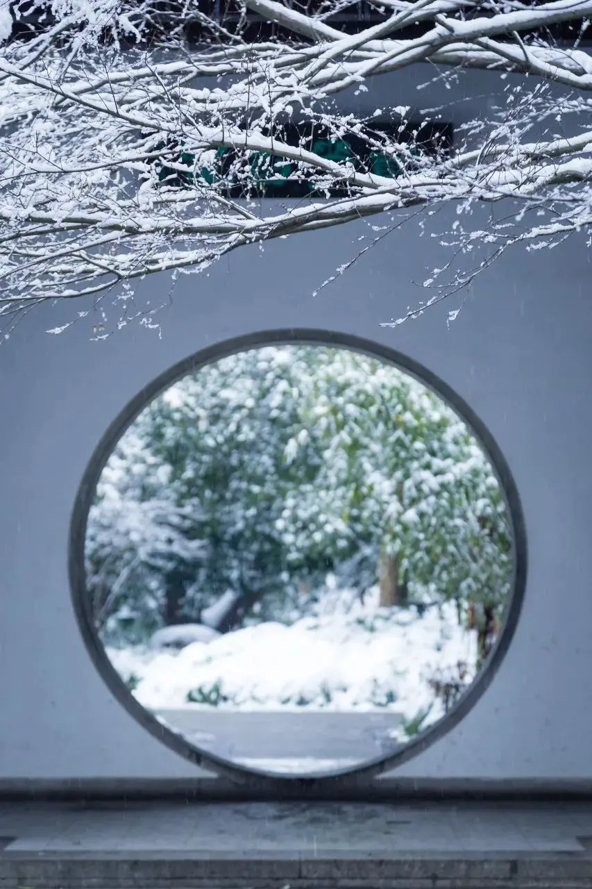 一下雪，张家界就美成了阿凡达