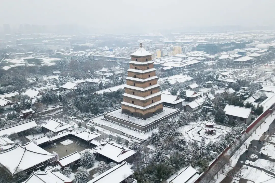 一下雪，张家界就美成了阿凡达