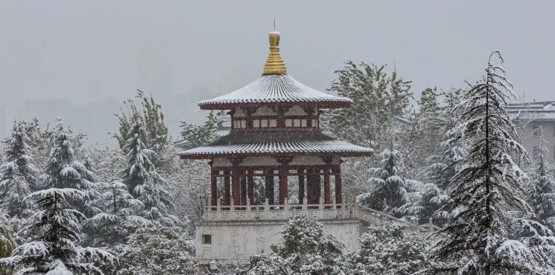 一下雪，张家界就美成了阿凡达