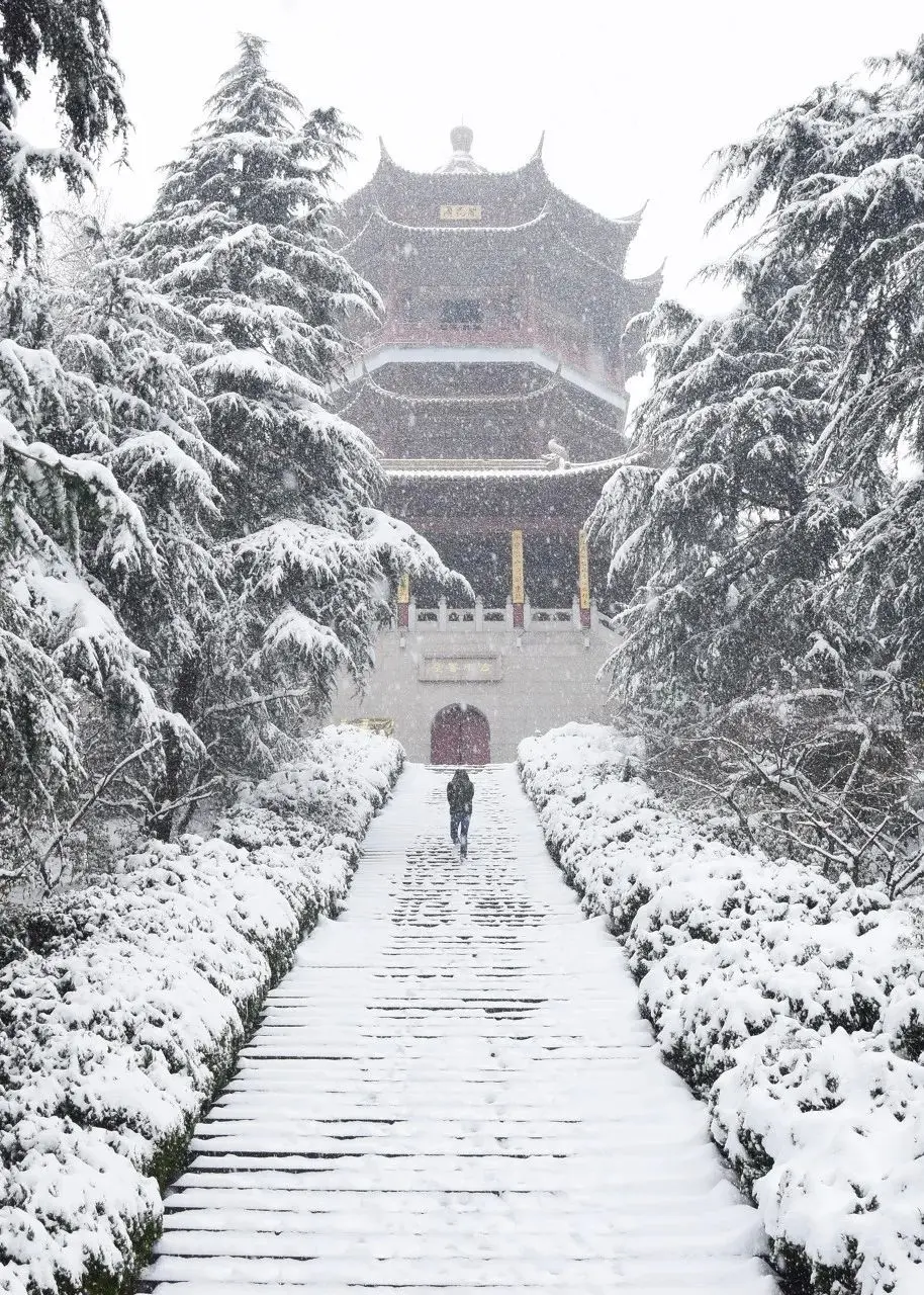 一下雪，张家界就美成了阿凡达