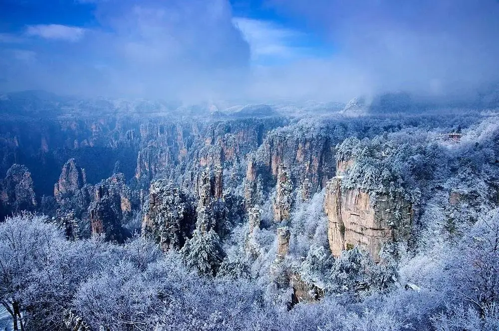 一下雪，张家界就美成了阿凡达