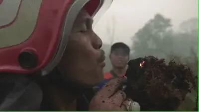 北极生机勃勃的绿色，是对人类最致命的警告