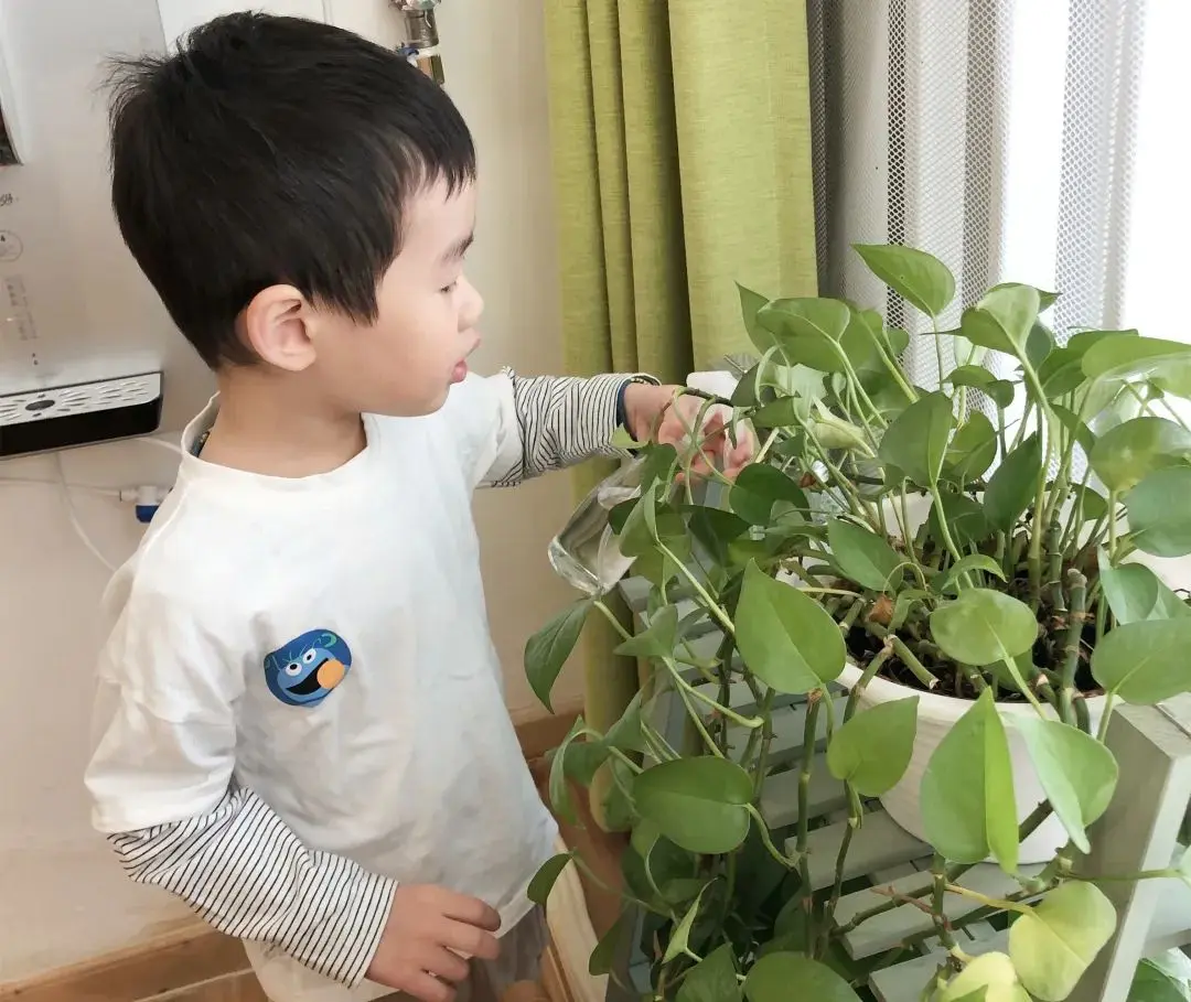 华杉教学｜适时且正确的赞赏孩子，会有意想不到的收获哦！