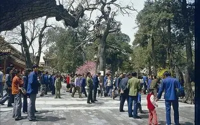 80年代外国游客拍摄的北京！把我看哭了！