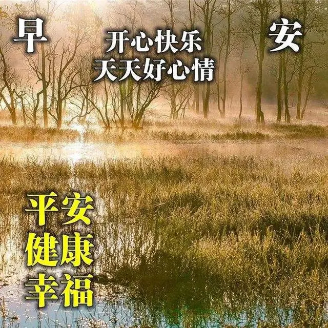 早上好暖心祝福问候语，很美的早安祝福文字图片