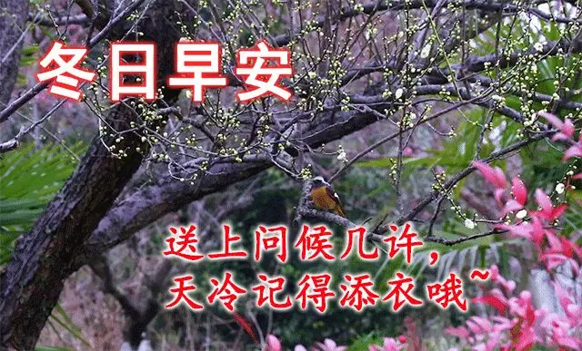 早上好暖心祝福问候语，很美的早安祝福文字图片