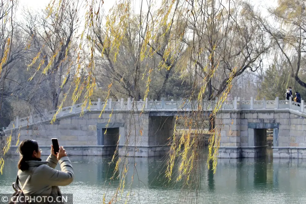 北京颐和园薄雾氤氲 美若水墨图画