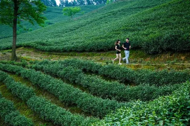 安吉君澜度假酒店｜中国热门酒店目的地TOP100推荐