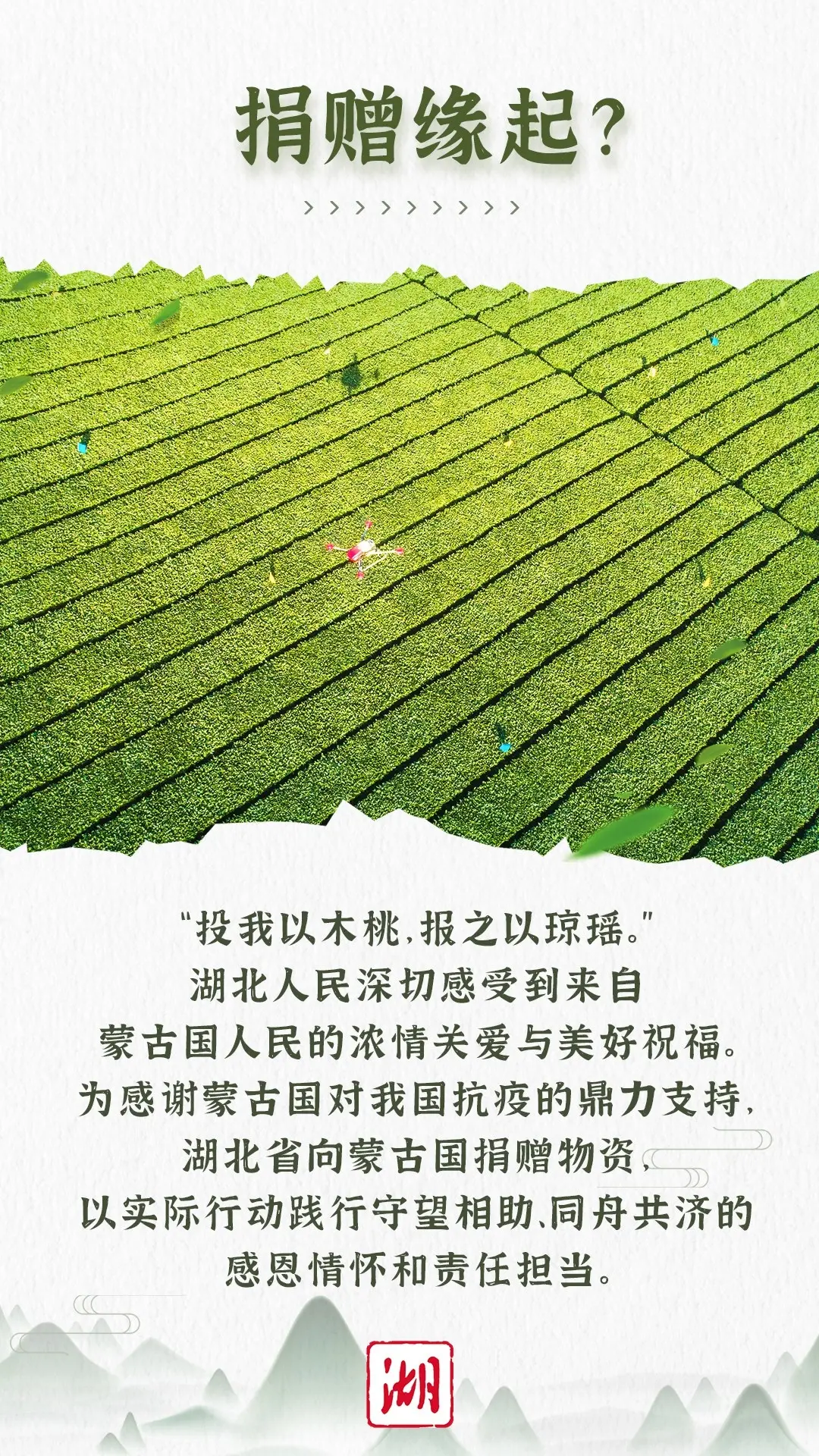 蒙古国，“鄂”请你喝茶了！