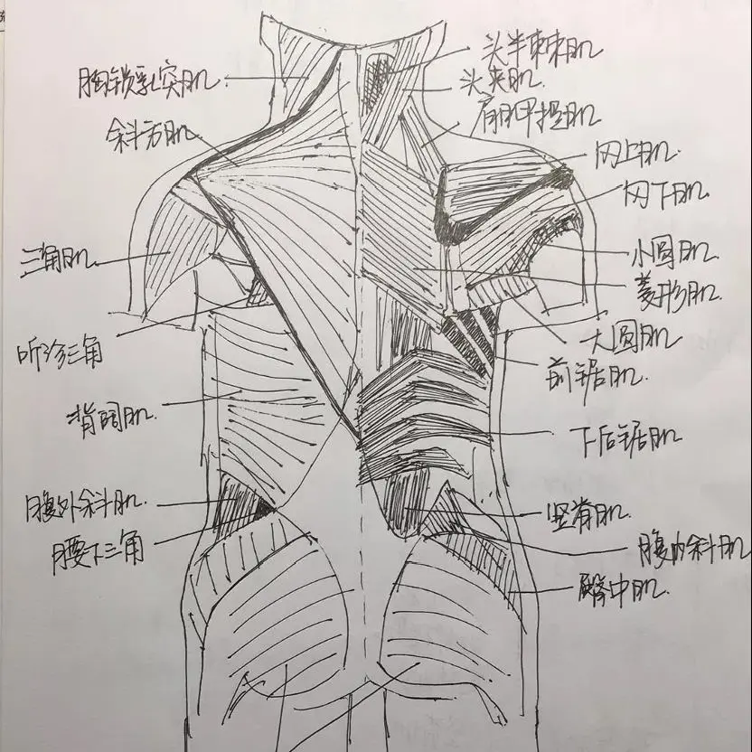 学学学学学……学霸的笔记这么魔性的吗？