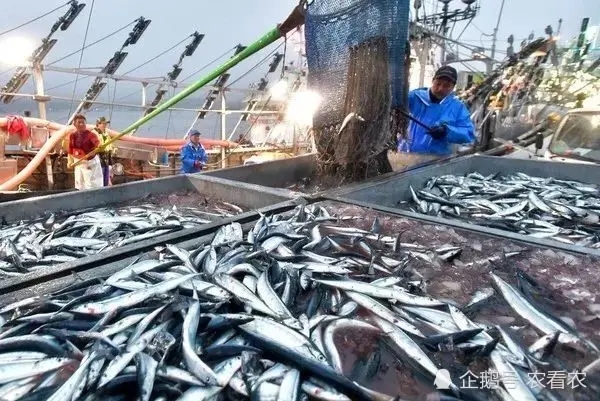 风靡日本上百年，在我国却卖不动，沦落夜宵市场，一只4元超美味