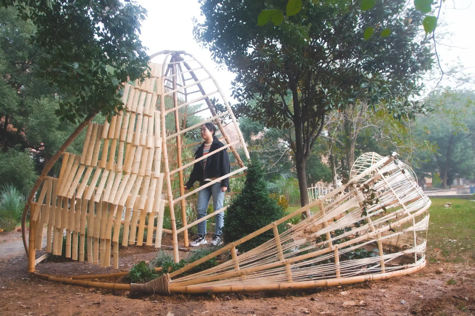 用竹子搭建现代艺术品，华中农业大学布置创意作业