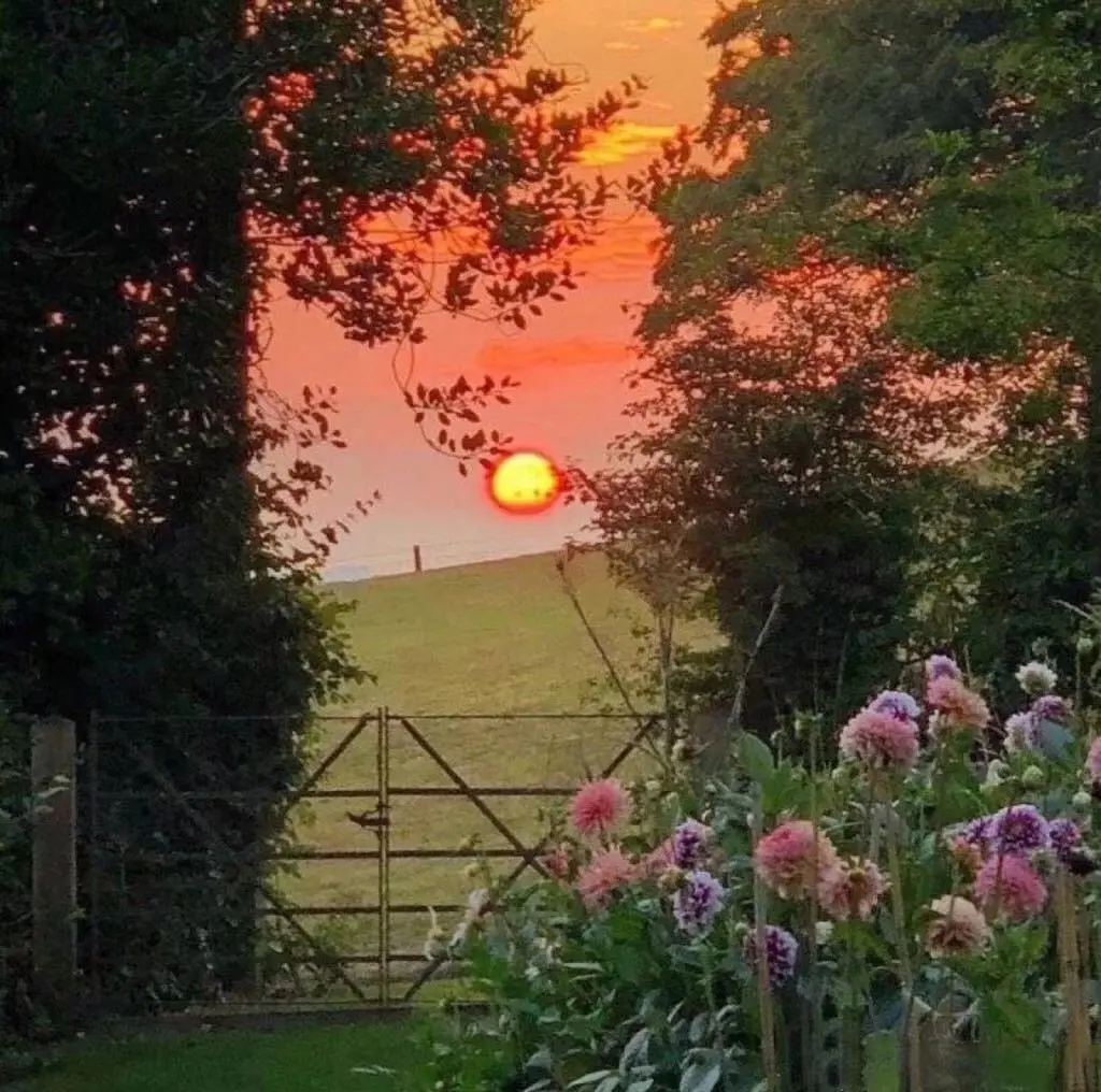 个签短句：靠近我就是晴天