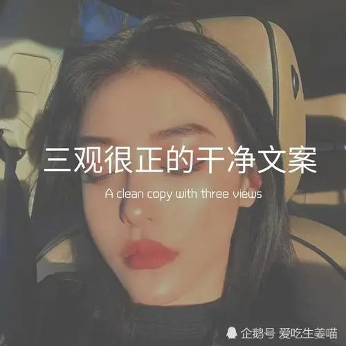 三观超正的极品文案