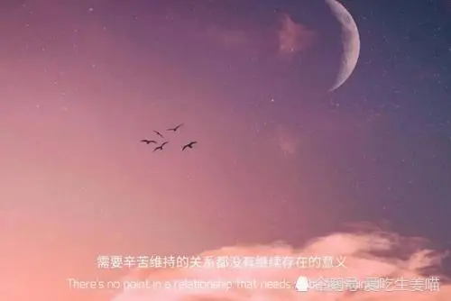 三观超正的极品文案