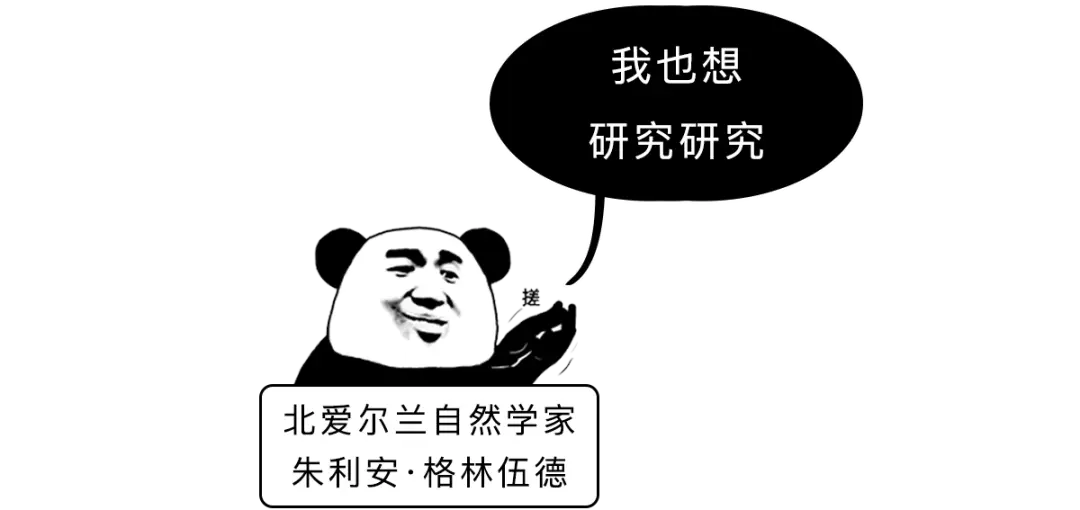 我敢打赌，99％的人接吻都会做这件事！