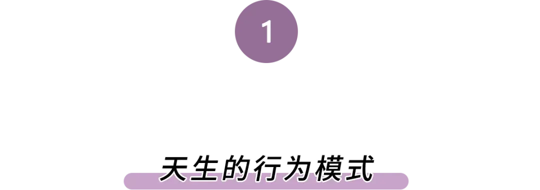 我敢打赌，99％的人接吻都会做这件事！