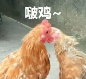 我敢打赌，99％的人接吻都会做这件事！