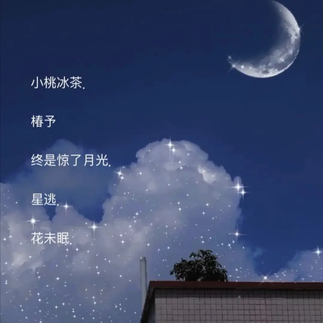 温柔小众网名：满天都是星星 好像一场冻结了的大雨