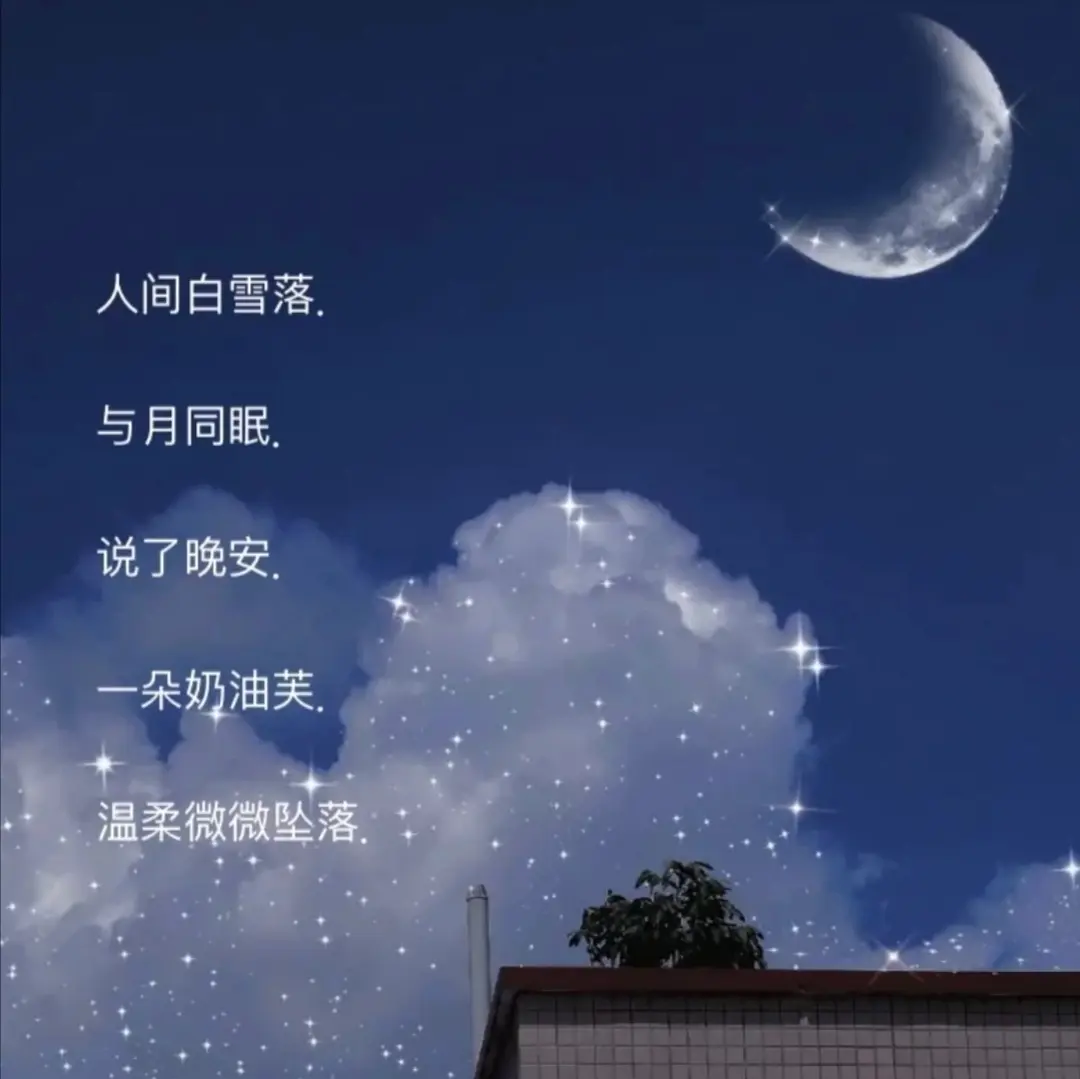 温柔小众网名：满天都是星星 好像一场冻结了的大雨