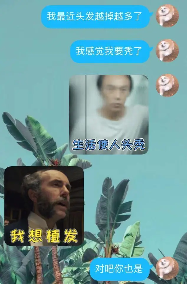 怎么分分钟把天聊死？网友：学习了