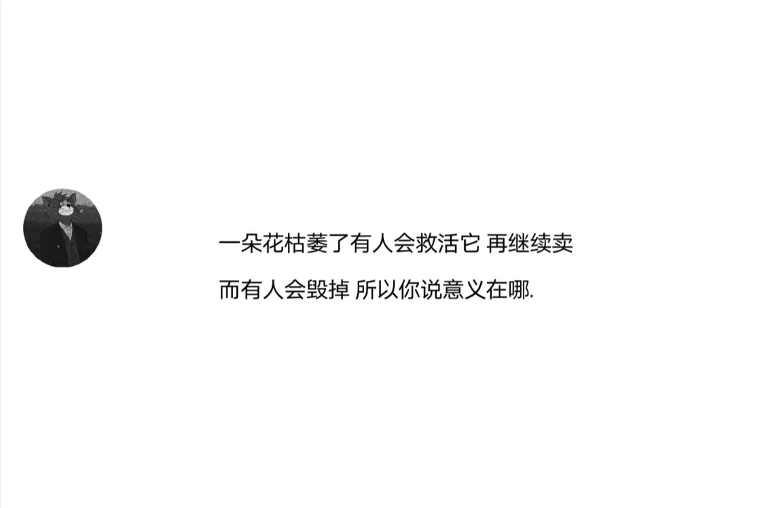 说不上为什么 就是情绪突然来了