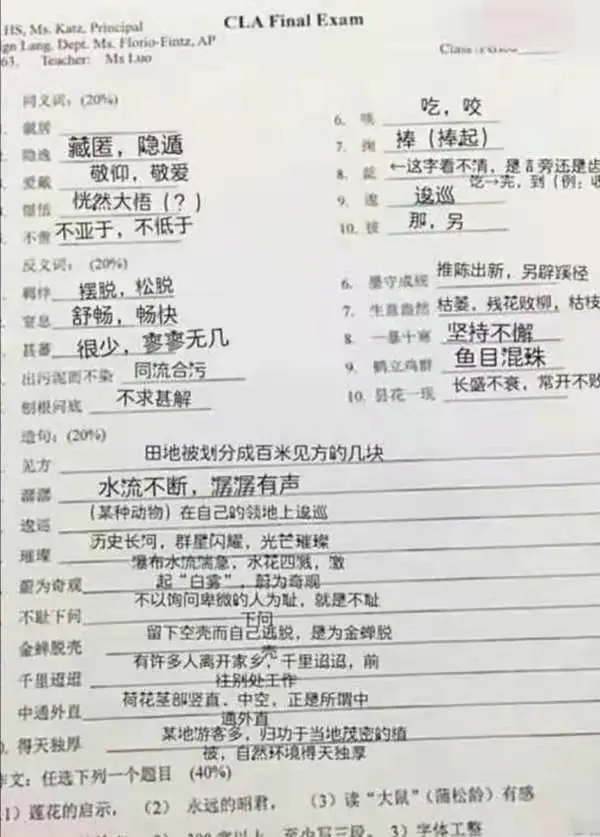 美国高中的中文试卷，中国孩子被难倒？网友：我可能学了个假中文