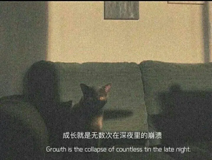 总之岁月漫长｜人世间的面 都是见一面少一面