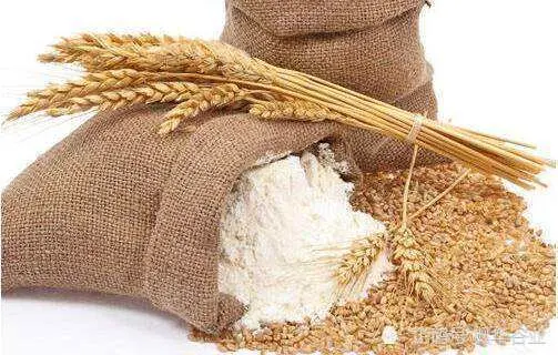 小麦粉和面粉到底是不是一种东西有什么区别