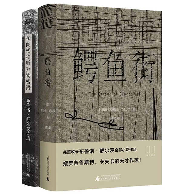 抓住布鲁诺·舒尔茨的诗人本质，黑陶创作出具有独创性的致敬之书