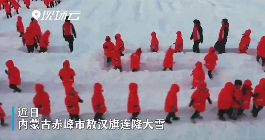 “哈哈哈還以為是QQ糖”！看到雪地上的萌娃們，網友樂了