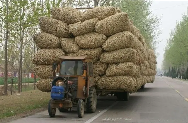 美专家：看了中国人发明的万能单缸柴油机，才明白中国为啥那么牛