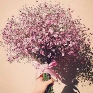 扎心又真实的文案：两个人在一起久了 爱的多的那个脾气越来越迁就
