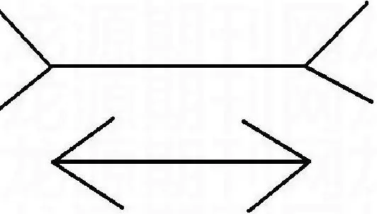 眼睛也会“欺骗”大脑——世界上最有趣的十个错觉现象！
