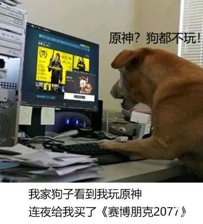 笑到捶桌！“狗都不玩”的沙雕图，比《赛博朋克2077》还要火