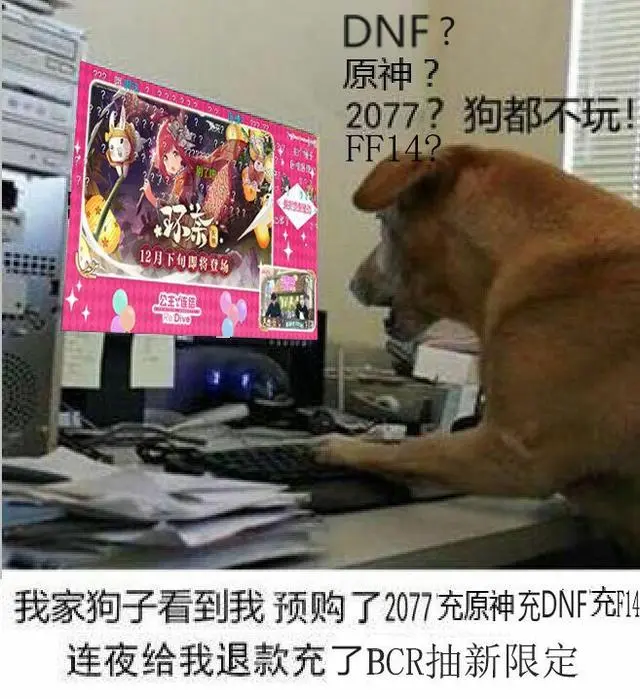 笑到捶桌！“狗都不玩”的沙雕图，比《赛博朋克2077》还要火