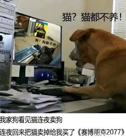 笑到捶桌！“狗都不玩”的沙雕图，比《赛博朋克2077》还要火