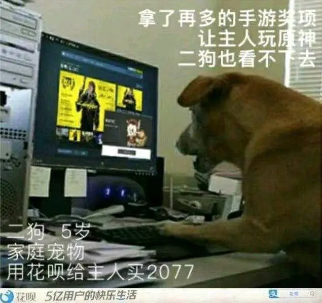 笑到捶桌！“狗都不玩”的沙雕图，比《赛博朋克2077》还要火