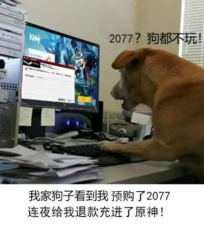 笑到捶桌！“狗都不玩”的沙雕图，比《赛博朋克2077》还要火