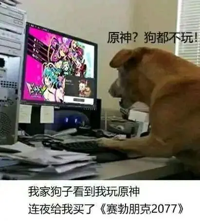 笑到捶桌！“狗都不玩”的沙雕图，比《赛博朋克2077》还要火