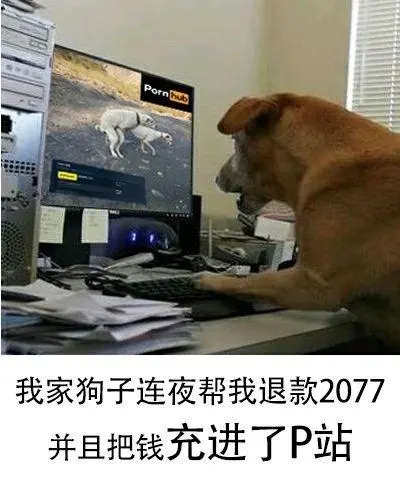 笑到捶桌！“狗都不玩”的沙雕图，比《赛博朋克2077》还要火