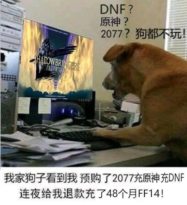 笑到捶桌！“狗都不玩”的沙雕图，比《赛博朋克2077》还要火