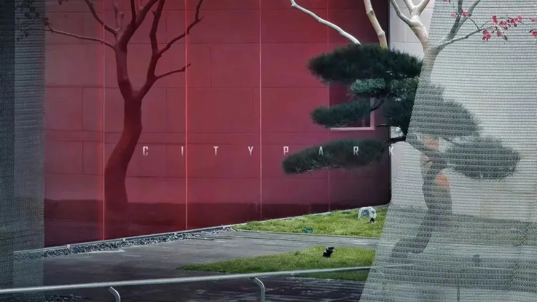 震撼！西北首个！裸眼3D巨屏惊艳亮相高新区！