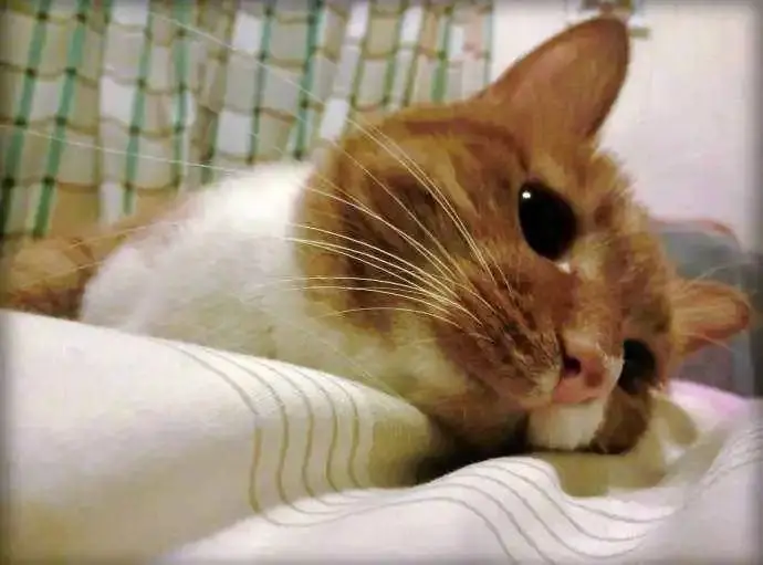 别丧了，一点也不酷！