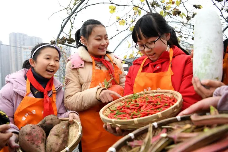 家长“鸡娃”是不得已而为之的爱？这位教育大咖对未来教育提出这几条定律