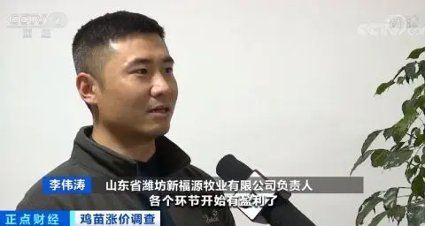 涨涨涨！鸡苗价格一天一个价，疯狂到一个月翻两倍！鸡肉会变贵吗？