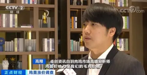 涨涨涨！鸡苗价格一天一个价，疯狂到一个月翻两倍！鸡肉会变贵吗？